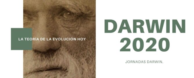 DARWIN